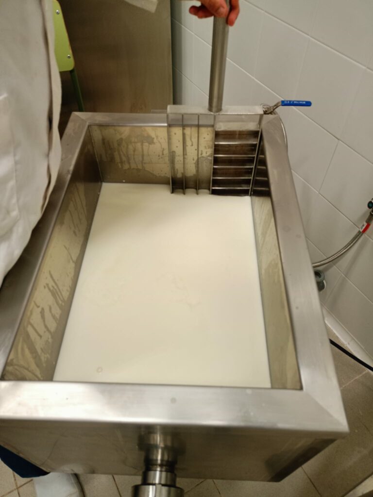 De 15 a 1000 Litros: Guía para elegir tu Cuba de Cuajar y Pasteurizador