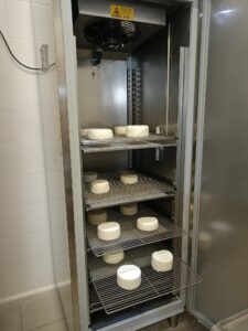 quesos artesanos madurados en armario micro-quesero