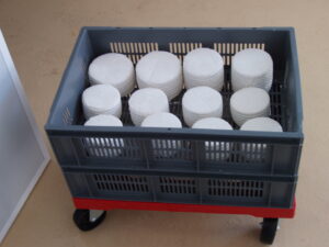 quesos frescos prensados