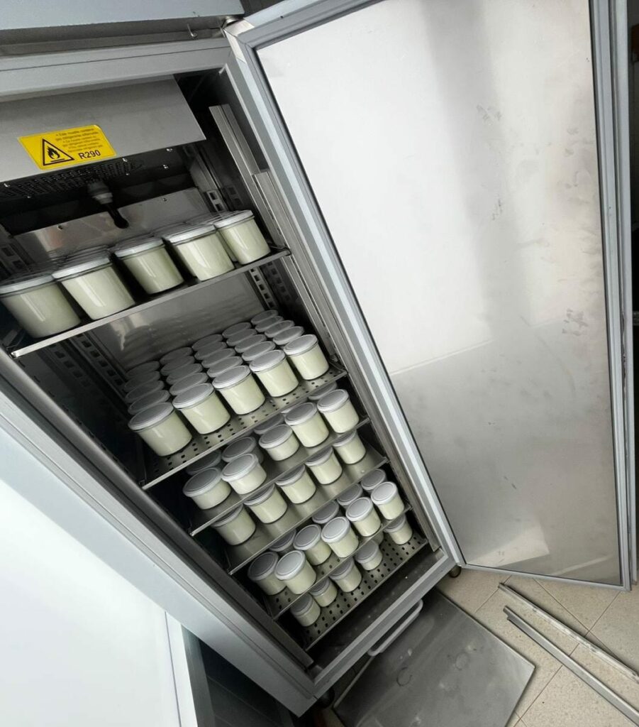 ¿Qué armario de incubación elegir según tu capacidad de producción? Guía práctica para obradores artesanos