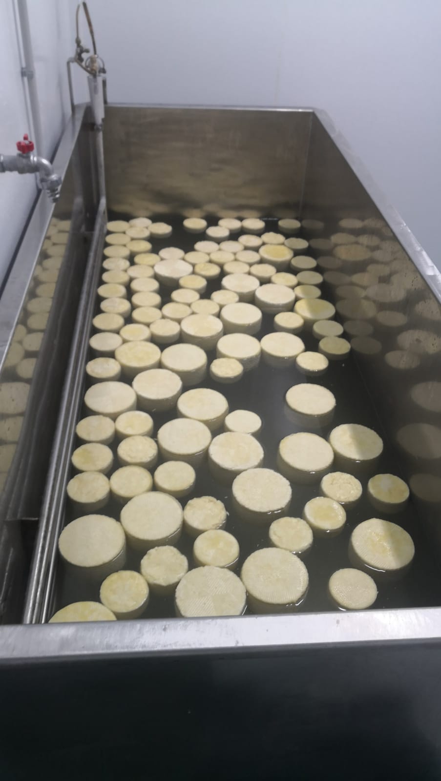 saladero-artisania-queseria-500 L